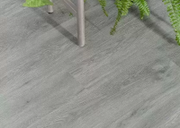 Виниловый ламинат Vinilam Dry Back (Glue) Дуб Эрдинг 6231