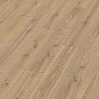 Ламинат Swiss Krono Super Solid/Jangal Дуб Классический 8073