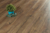 Ламинат Kronopol Platinium Terra Aqua Дуб Краковия D4923