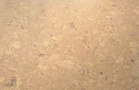 Пробковое покрытие Wicanders Corkcomfort Personality Champagne P805002