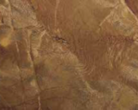 Пробковое покрытие Corksribas Stones Mouro Brown