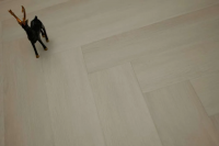 Ламинат SPC EvoFloor Parquet Glue Whiteford (Уайтфорд) PG3040-1-2.5