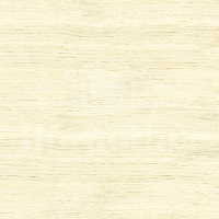 Ламинат Swiss Krono Super Solid/Jangal Дуб Белый 8873