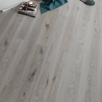 Ламинат SPC FloorAge Forest Пандора 1273