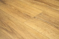 Ламинат Peli Anatolia 8 мм Дуб Голд Gold AN DSG 905