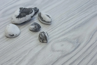 Ламинат SPC Art Tile Art Armor Граб Брюса 95 ARM