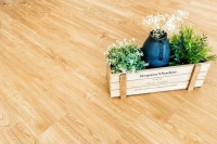 Ламинат SPC Alpine Floor Sequoia SPC Секвойя Royal ЕСО6-4