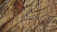Пробковое покрытие Corksribas Stones Forest