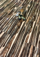 Ламинат Mostflooring High Glossy 11904
