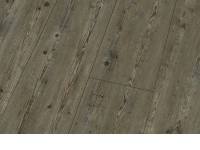 Ламинат Falquon Blue Line wood Prignitz Pine D3546