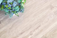 Ламинат SPC Alpine Floor Sequoia SPC Секвойя Light ЕСО6-3