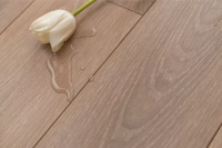 Ламинат Winlerk Comfort Oak Alland C908
