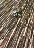 Ламинат Mostflooring High Glossy 11904