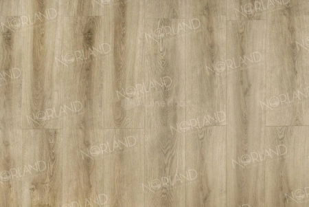 Ламинат SPC Norland NeoWood Altaelva 2001-3