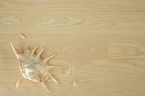 Массивная доска Hajnowka Hajnowka под маслом Ясень Ecru