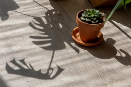 Виниловый ламинат Vinilam Click 3.7 мм Дуб Ален 20468