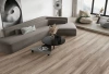 Ламинат SPC FloorAge Forest Дафна 1013