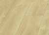 Ламинат Kronopol Holiday Platinium Aqua Dominican Oak 40104