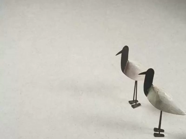 Пробковое покрытие Corksribas Напольное акриловое покрытие Gringo White