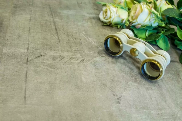Виниловый ламинат Fine Floor Stone Джакарта FF-1441