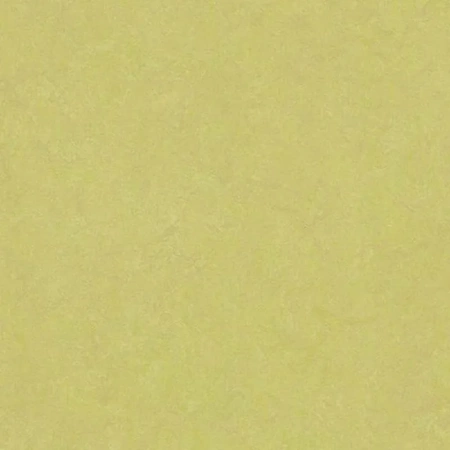 Виниловый ламинат Forbo Marmoleum Click Square Spring Buds 333885