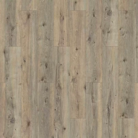 Ламинат Tarkett Holiday Дуб Фрайдэй 504022039