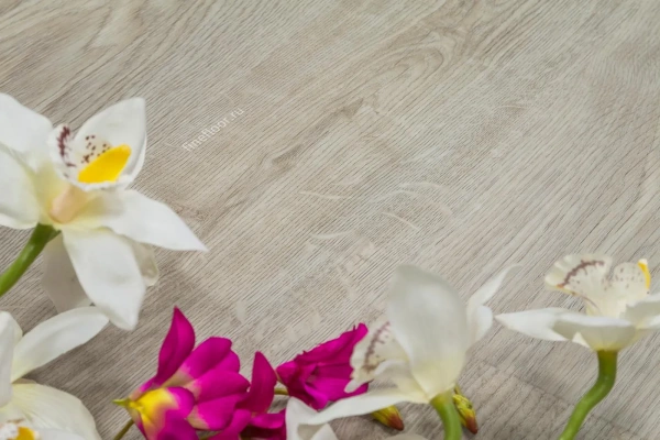 Виниловый ламинат Fine Floor Rich Дуб Малага FF-2079