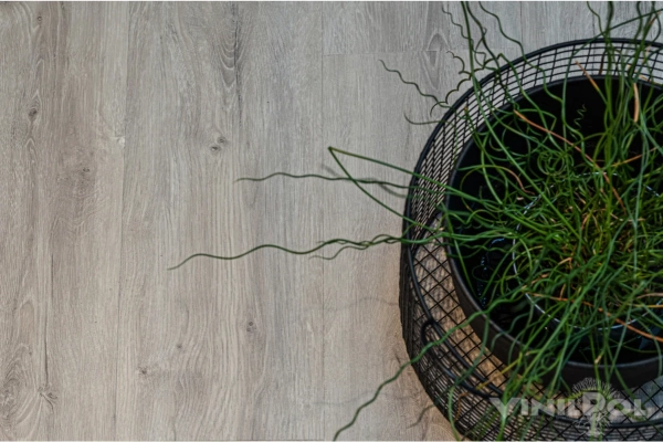 Виниловый ламинат VinilPol Glue Дуб Неаполь 7897 EIR