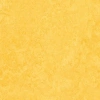 Виниловый ламинат Forbo Marmoleum Click Square Lemon Zest 333251