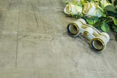 Виниловый ламинат Fine Floor Stone Джакарта FF-1541